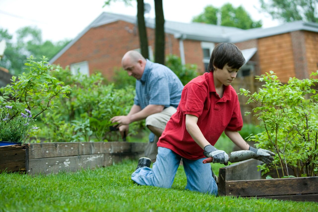 Two people gardening