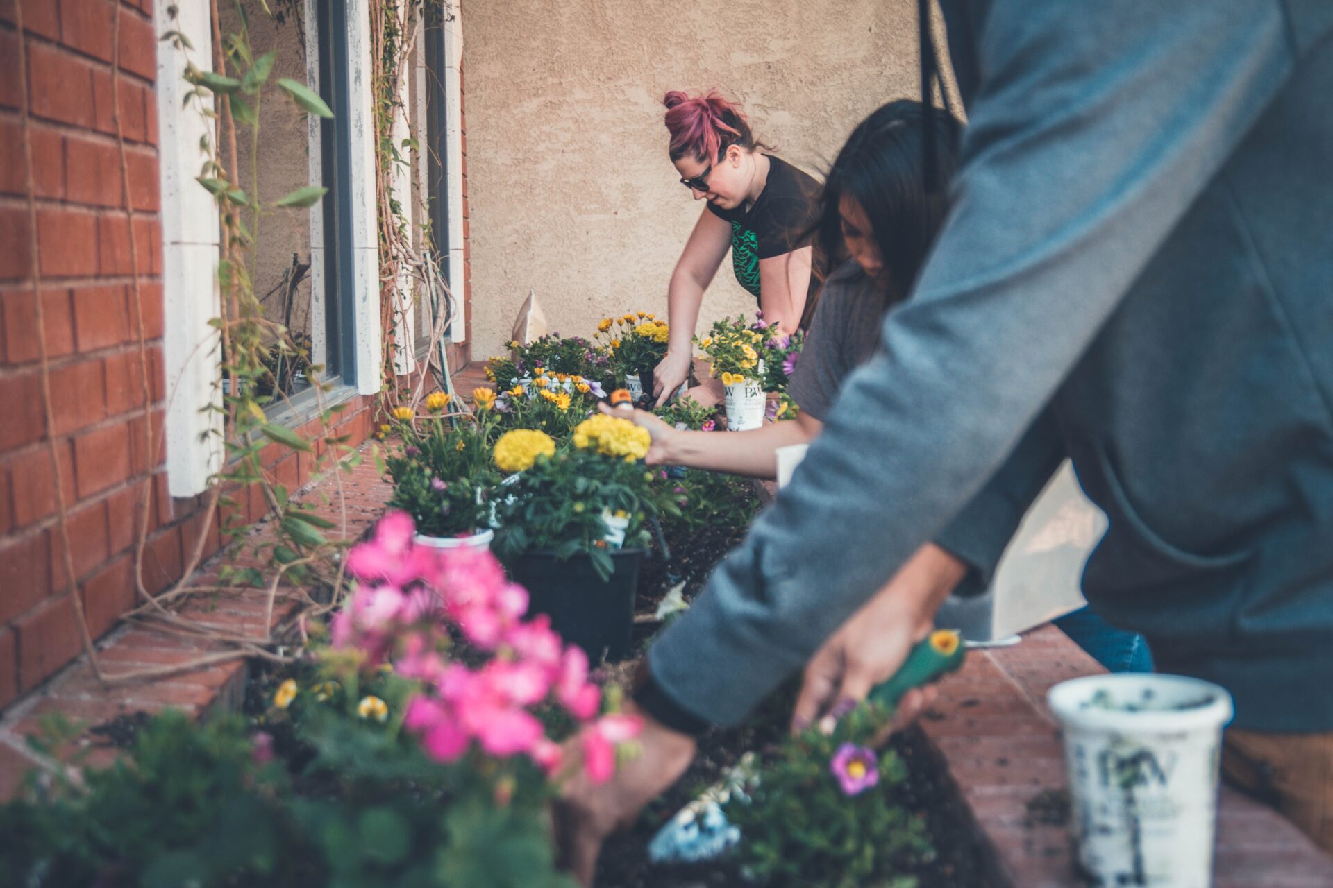 Three people gardening.