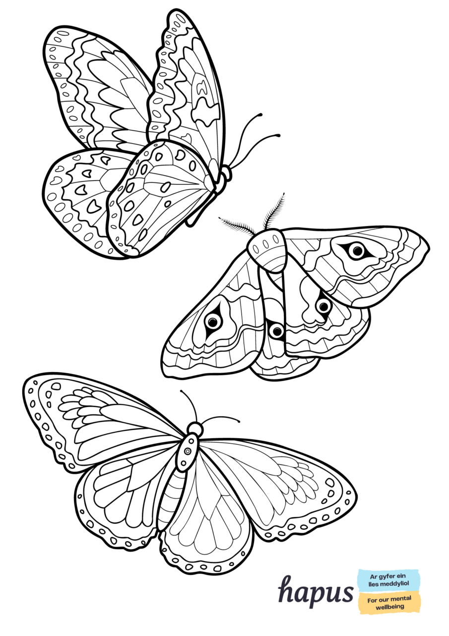 A colouring in page with black and white outlines of three butterflies.