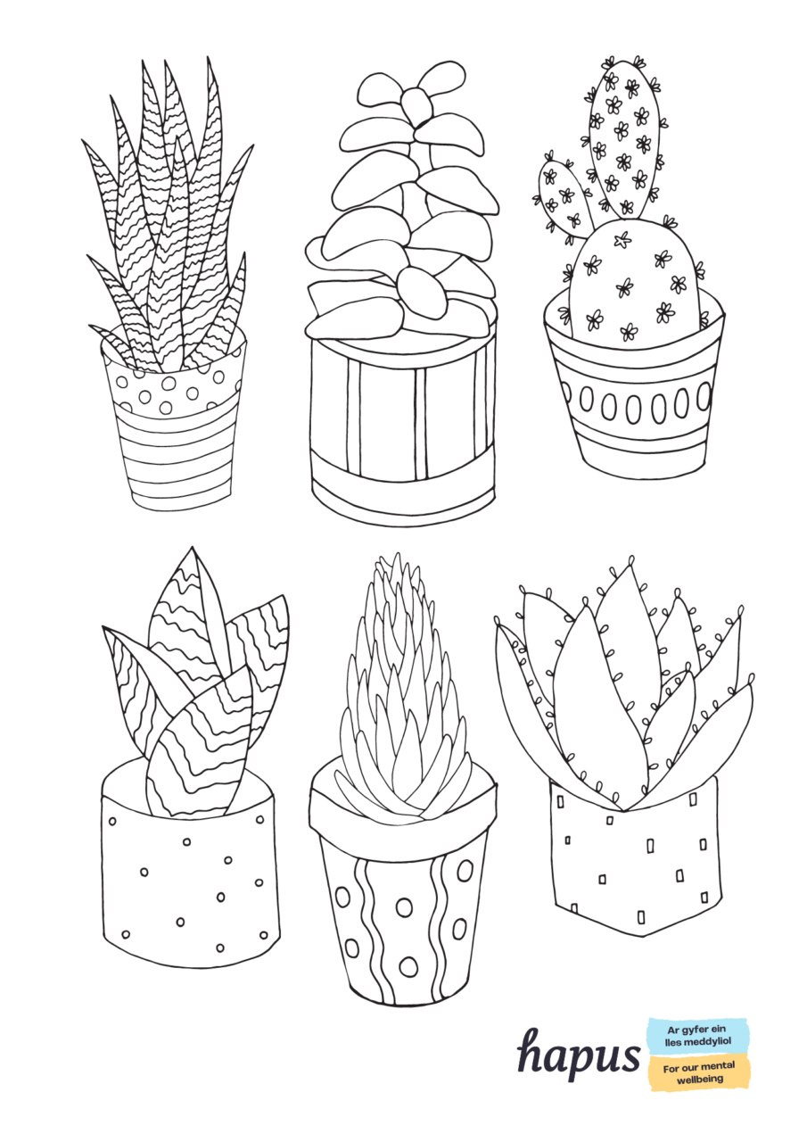 A colouring in sheet with black and white outlines of six potted plants.