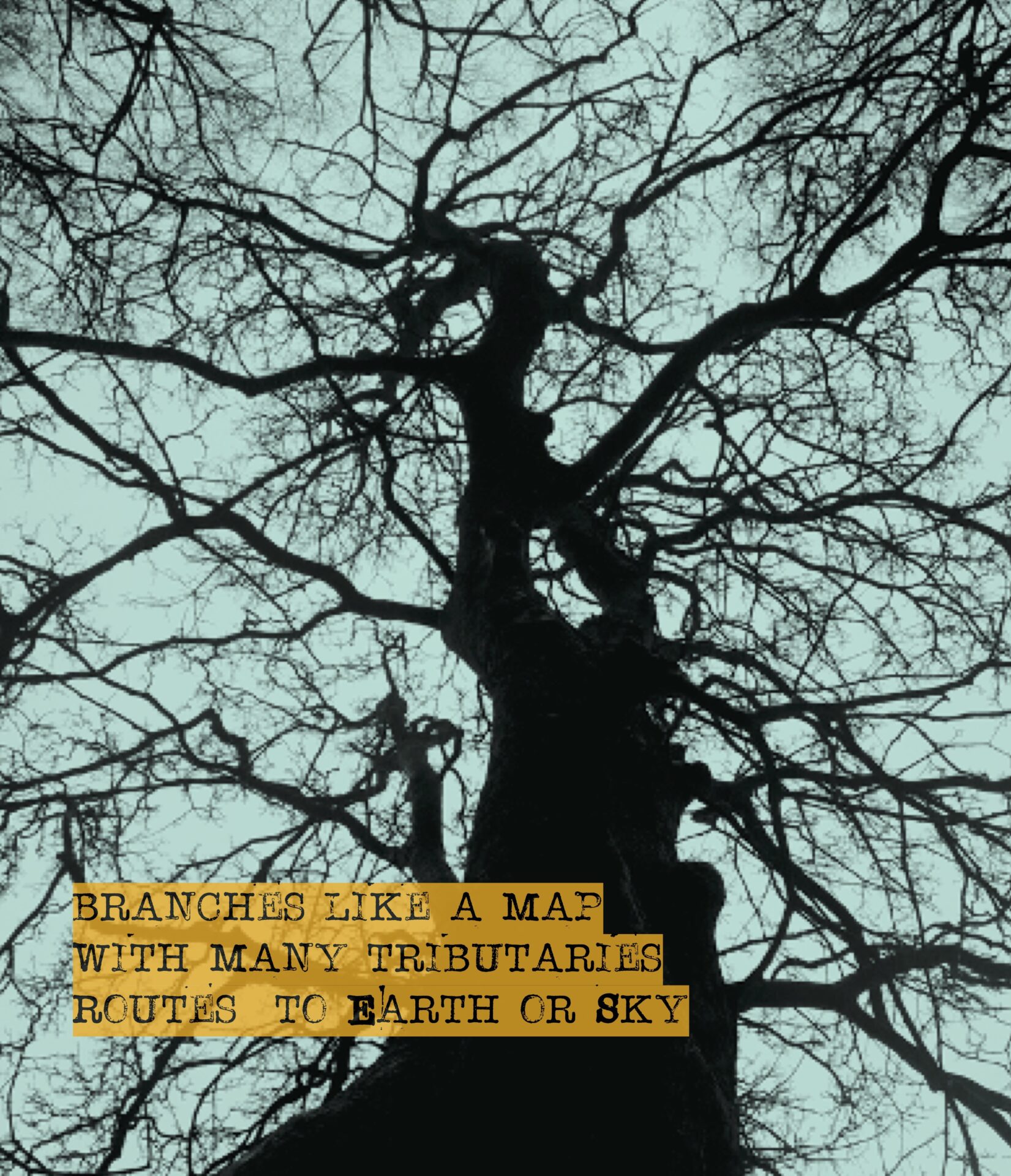 Llun ongl isel o goeden yn y cyfnos. Mae'r awyr yn lliw glas golau. Yng nghornel chwith isaf yn erbyn cefndir melyn mae'r geiriau 'Branches like a map with many tributaries route to earth or sky.' 