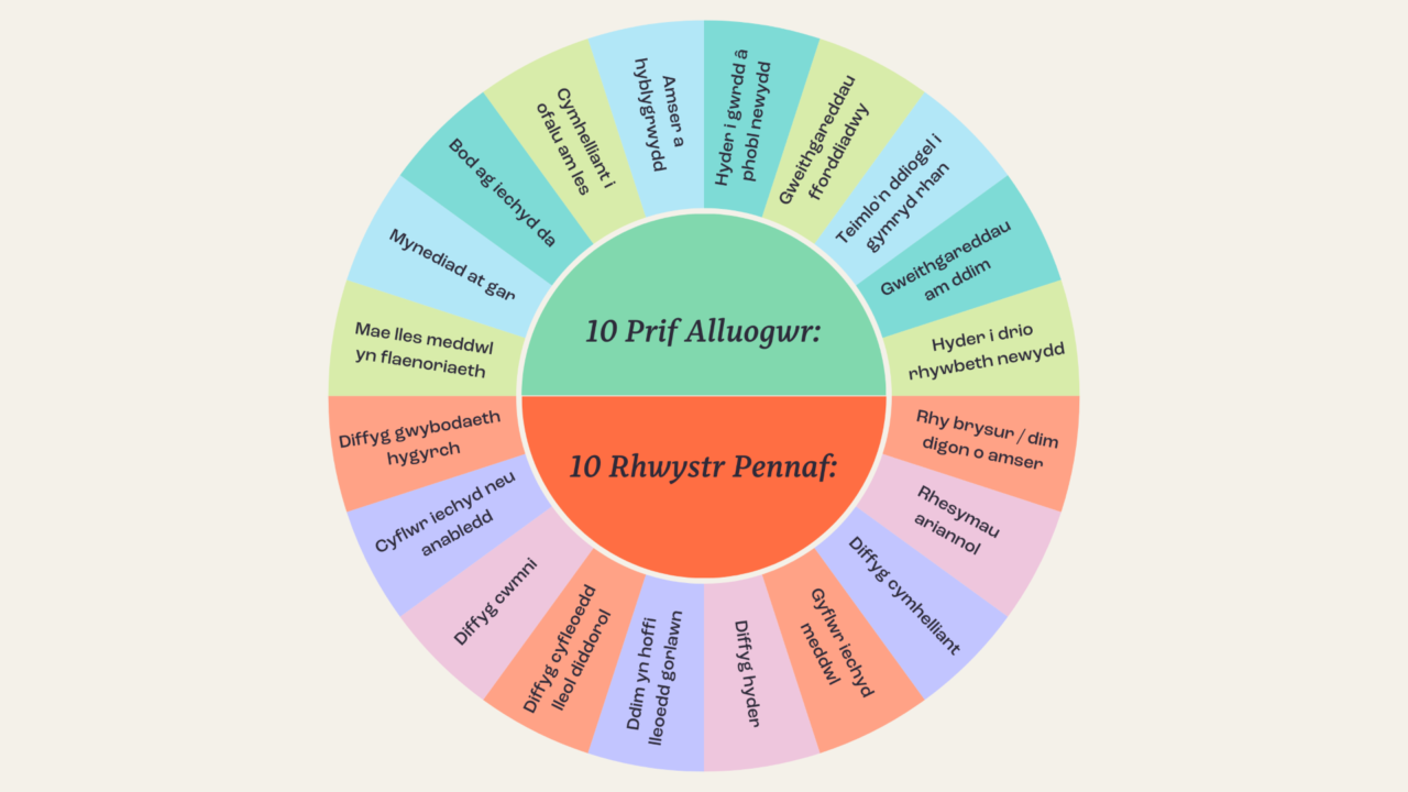 Graffig yn dangos galluogwyr a rhwystrau i les
