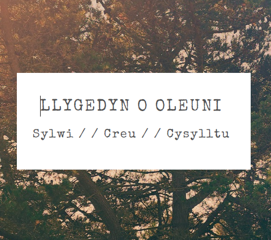 Welsh title card: 'LLYGEDYN O OLEUNI' with subheading 'Sylwi // Creu // Cysylltu' on a white rectangle over a forest photo.
