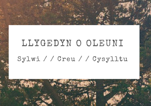 Delwedd o glawr blaen Llygedyn o Oleuni